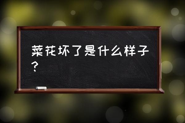 菜花表面有黑点怎么去除 菜花坏了是什么样子？