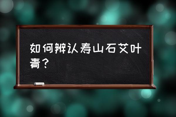 硬田黄石最精确的鉴定方法 如何辨认寿山石艾叶青？