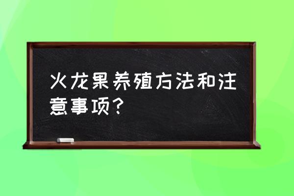 盆栽火龙果喜欢什么肥料 火龙果养殖方法和注意事项？