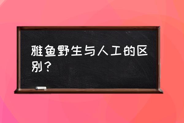 用什么鱼食钓雅鱼最好 雅鱼野生与人工的区别？