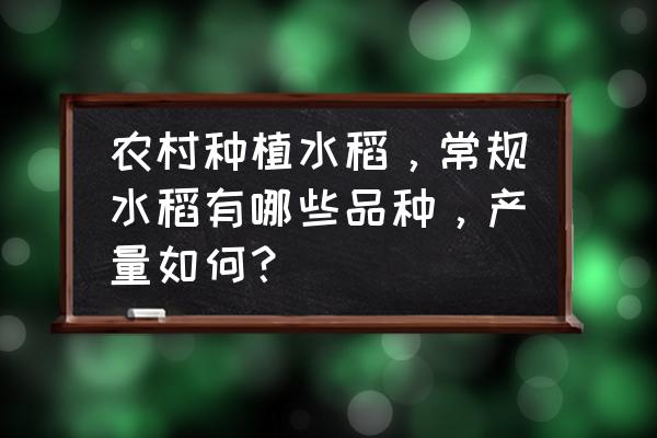 在农村的大田怎么种植水稻 农村种植水稻，常规水稻有哪些品种，产量如何？