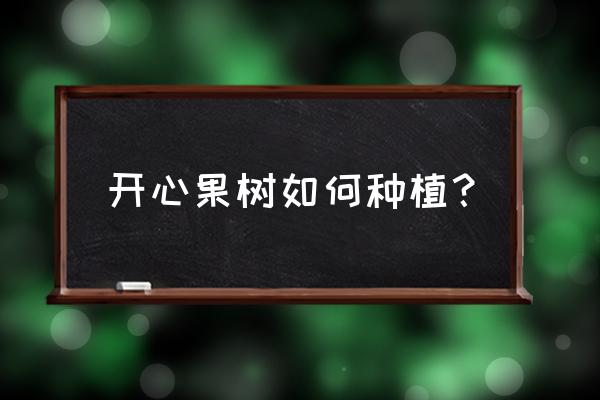 如何在家自己种植果树 开心果树如何种植？