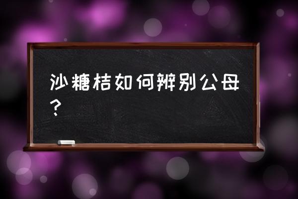 金桔的挑选方法 沙糖桔如何辨别公母？