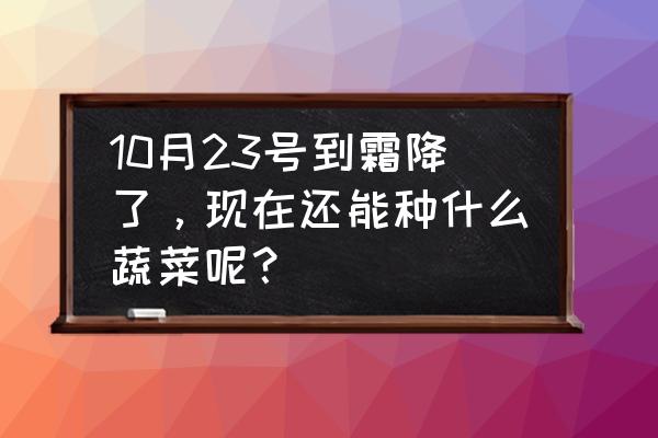 韭菜籽和葱籽的区别是啥 10月23号到霜降了，现在还能种什么蔬菜呢？