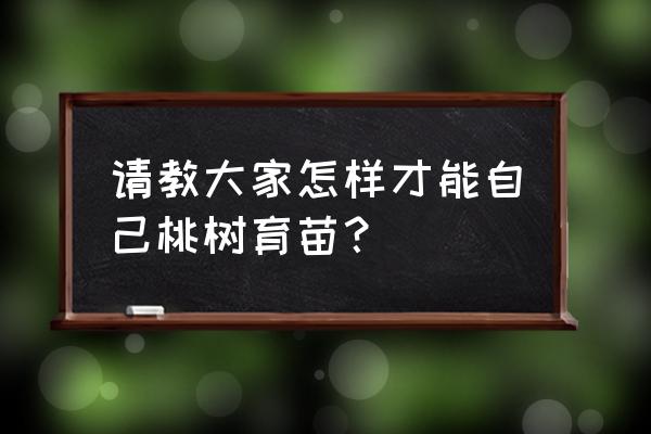 桃树种子催芽方法 请教大家怎样才能自己桃树育苗？