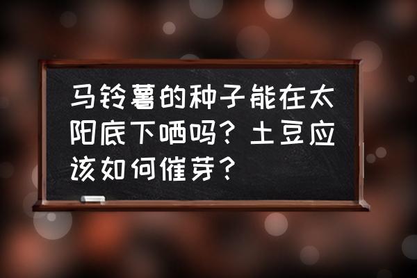 盆栽土豆的正确方法 马铃薯的种子能在太阳底下哂吗？土豆应该如何催芽？