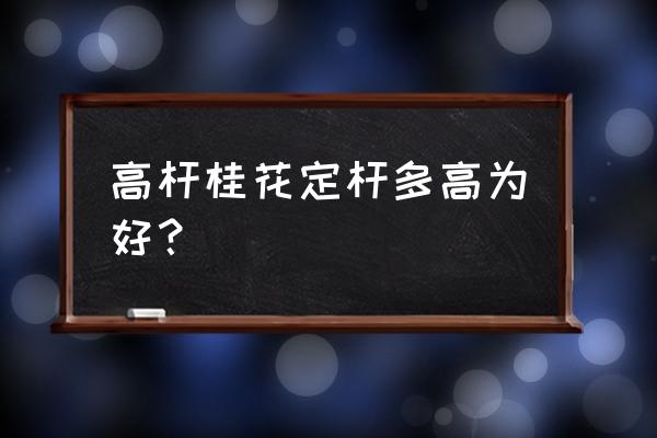 树木分枝点高度从哪里算起 高杆桂花定杆多高为好？