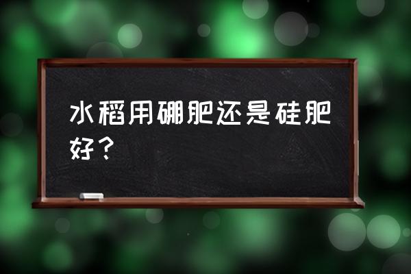 水稻长得太茂盛怎么补救 水稻用硼肥还是硅肥好？