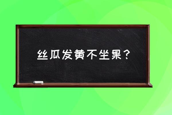 丝瓜为什么不结瓜有什么办法吗 丝瓜发黄不坐果？