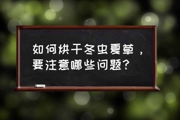 上海虫草烘干机支持定制 如何烘干冬虫夏草，要注意哪些问题？