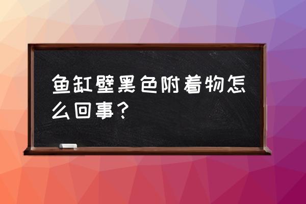 鱼缸里面的胶变黑怎么清理 鱼缸壁黑色附着物怎么回事？