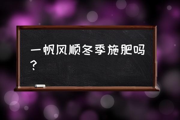 花卉冬季施肥最好小方法 一帆风顺冬季施肥吗？