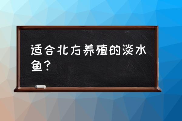 大头鱼室内怎么养殖的 适合北方养殖的淡水鱼？