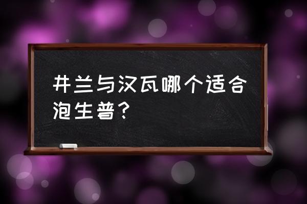 什么器型的紫砂壶适合泡普洱茶 井兰与汉瓦哪个适合泡生普？