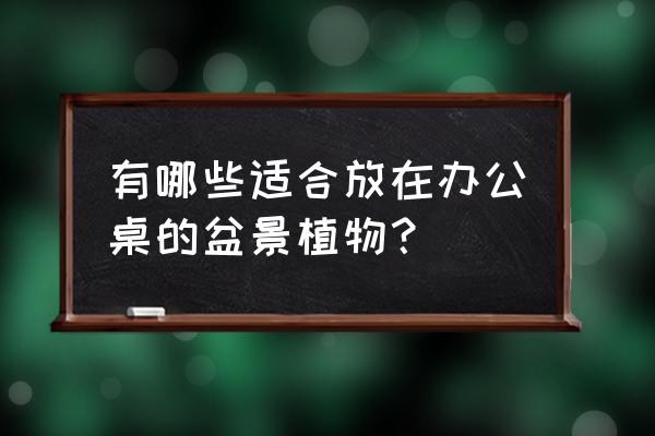 适合长期使用电脑的小盆栽 有哪些适合放在办公桌的盆景植物？