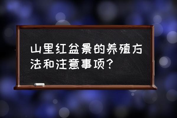 苹果树盆栽怎么栽培 山里红盆景的养殖方法和注意事项？