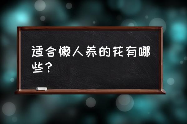 琴叶榕叶子耷拉下来了怎么回事啊 适合懒人养的花有哪些？