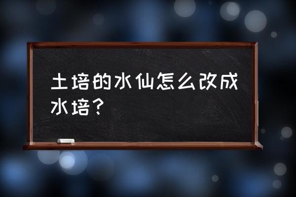 购买水仙怎么种植水培 土培的水仙怎么改成水培？