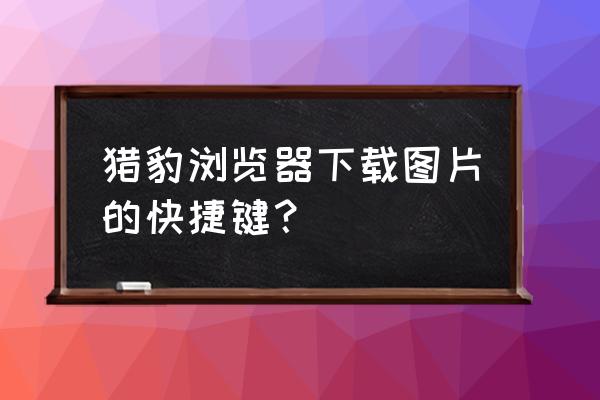 猎豹简笔画方法大全 猎豹浏览器下载图片的快捷键？