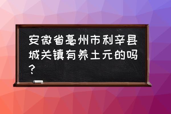 土鳖虫的药用价值有哪些 安微省亳州市利辛县城关镇有养土元的吗？