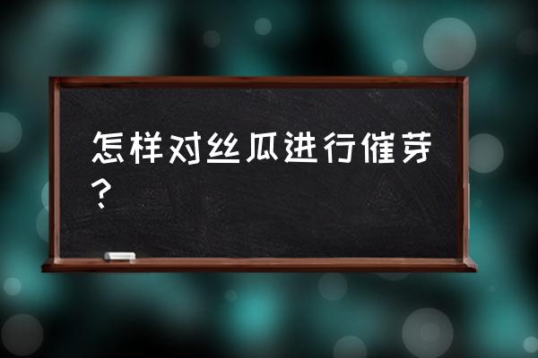 丝瓜种20多天了没出芽 怎样对丝瓜进行催芽？