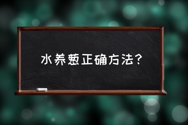 葱泡在水里可以养活吗 水养葱正确方法？