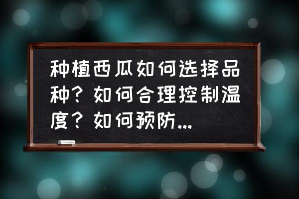 西瓜后期叶枯病图谱与防治 种植西瓜如何选择品种？如何合理控制温度？如何预防病虫害的发生？