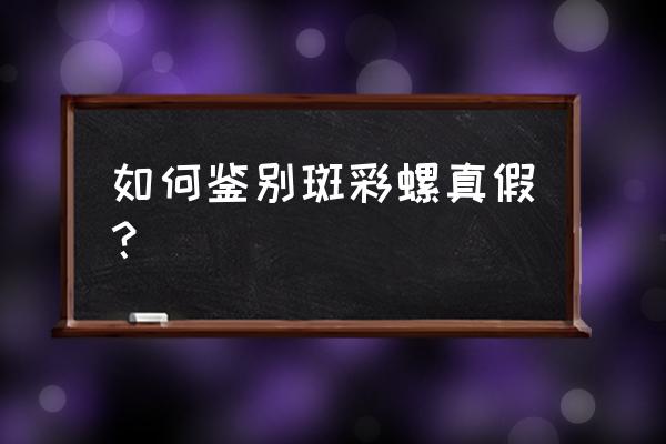 斑彩石什么颜色最好 如何鉴别斑彩螺真假？