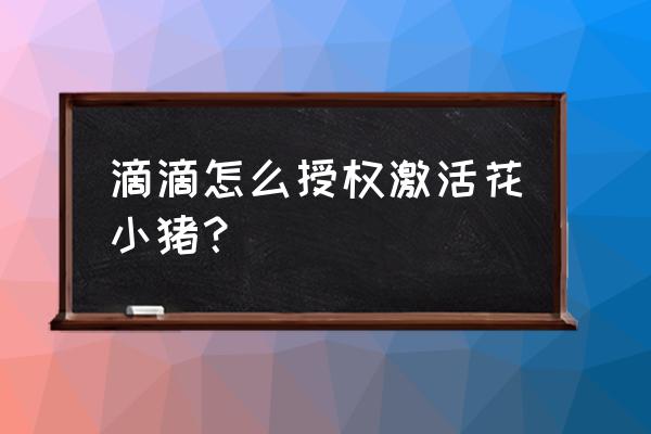 花小猪已经注册怎么激活 滴滴怎么授权激活花小猪？