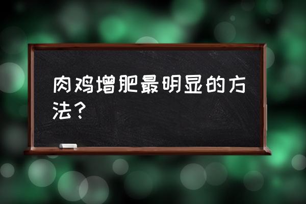 养肉鸡后期快速增重的窍门 肉鸡增肥最明显的方法？