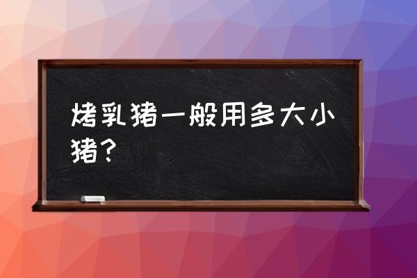 小香猪怎么挑选技巧 烤乳猪一般用多大小猪？