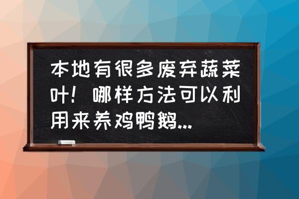 养鹅的正确方法 本地有很多废弃蔬菜叶！哪样方法可以利用来养鸡鸭鹅？安全可靠？