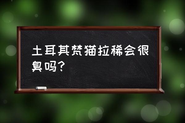 梵指到家有什么服务 土耳其梵猫拉稀会很臭吗？