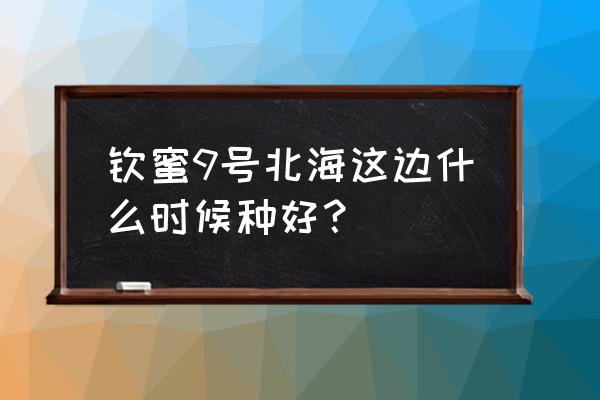 钦蜜9号百香果苗 钦蜜9号北海这边什么时候种好？