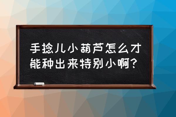 葫芦怎么种才能结得又大又好 手捻儿小葫芦怎么才能种出来特别小啊？