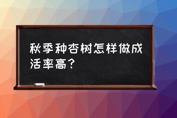 杏树育苗种植方法 秋季种杏树怎样做成活率高？