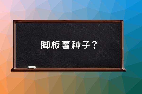 脚板薯的26种家常吃法 脚板薯种子？