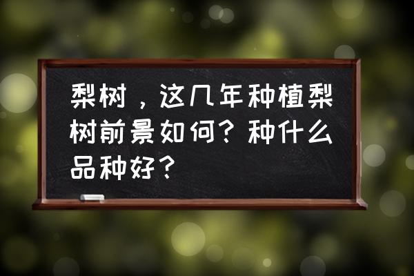 卖梨的销路和模式 梨树，这几年种植梨树前景如何？种什么品种好？