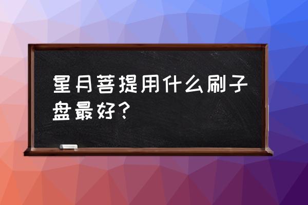 搓澡手套推荐 星月菩提用什么刷子盘最好？