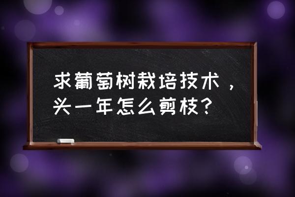 开春新种葡萄怎么修剪 求葡萄树栽培技术，头一年怎么剪枝？