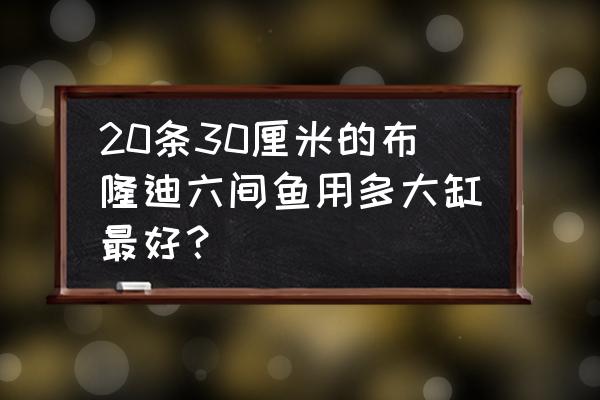 布隆迪六间鱼几年能产卵 20条30厘米的布隆迪六间鱼用多大缸最好？