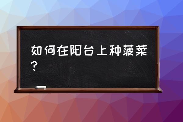 阳台盆种菠菜的正确方法 如何在阳台上种菠菜？