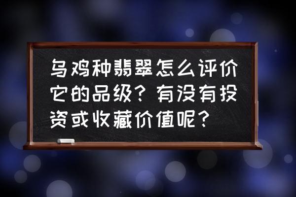 乌鸡种翡翠怎么判断好坏 乌鸡种翡翠怎么评价它的品级？有没有投资或收藏价值呢？