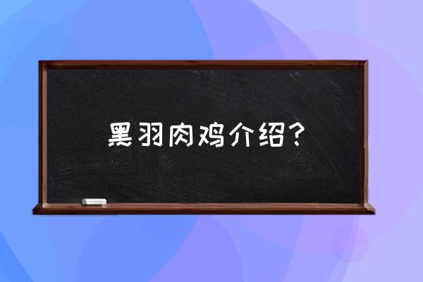 贡鸡盘形的正确方法 黑羽肉鸡介绍？