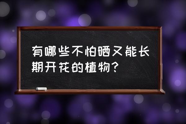 报春花蔫了也不开花怎么处理 有哪些不怕晒又能长期开花的植物？