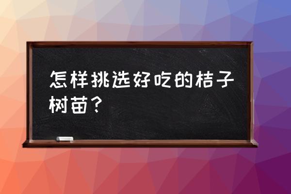 新买的橘子树苗怎样种植 怎样挑选好吃的桔子树苗？