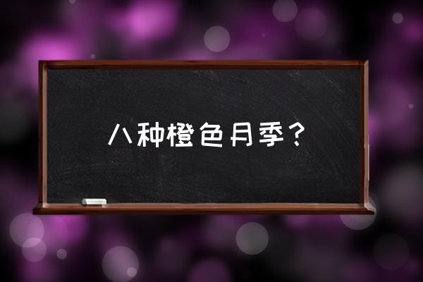 果汁阳台在北方户外能安全过冬吗 八种橙色月季？