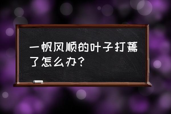 白掌叶子下垂恢复方法 一帆风顺的叶子打蔫了怎么办？