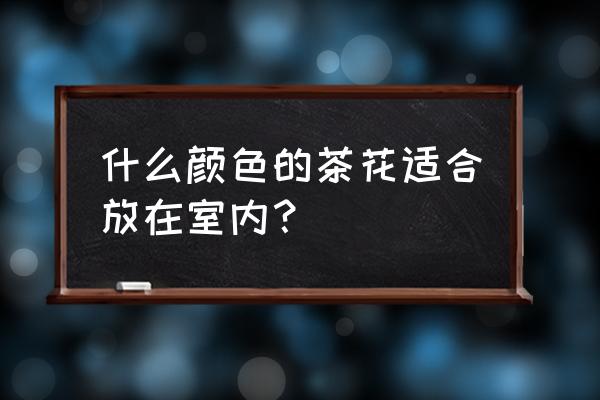 茶花可以放在室内吗 什么颜色的茶花适合放在室内？