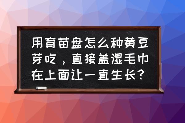 育苗盘育苗怎么浇肥 用育苗盘怎么种黄豆芽吃，直接盖湿毛巾在上面让一直生长？